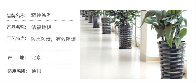 1522382480171567.jpg 精神系列3.jpg