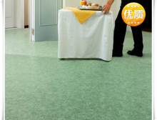 潔弗樂(lè)美寶琳野心 HD 地板